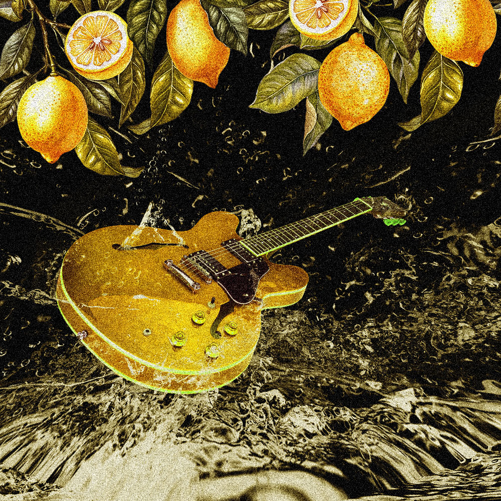 レモンオイルは本当に悪なのか？