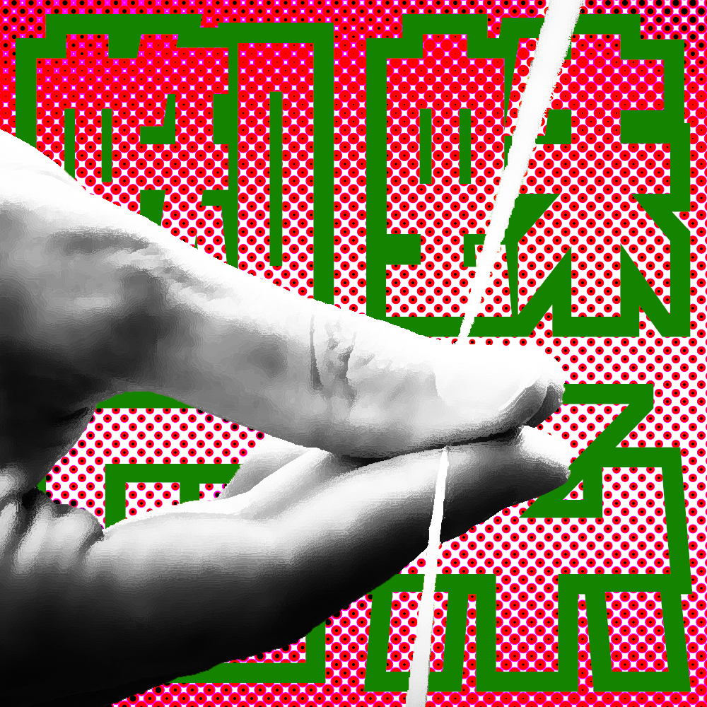 クモの糸はギターの弦の代わりになるか？ [動画]